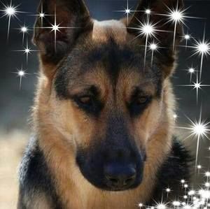 Meet your Posher, Rony